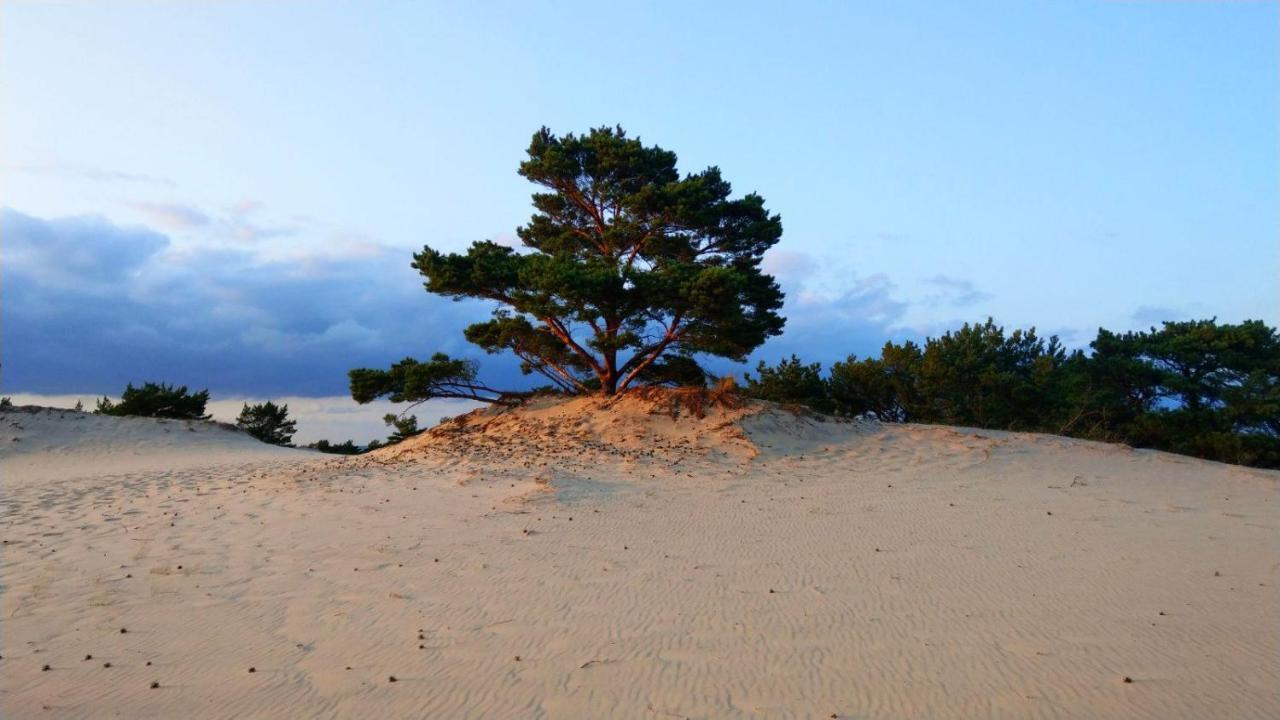 Przyczepy Kempingowe - Osrodek Na Klifie Village - Helska 11 Campsite