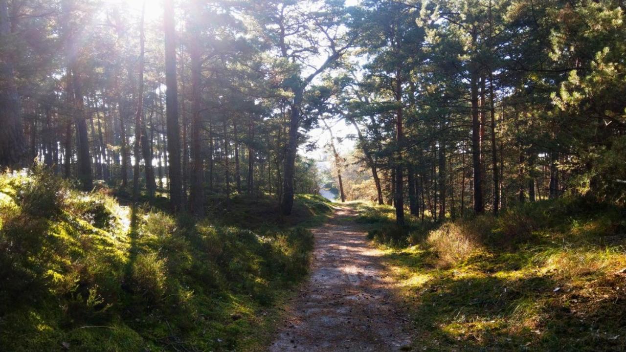 Przyczepy Kempingowe - Osrodek Na Klifie Village - Helska 11 Campsite Hel