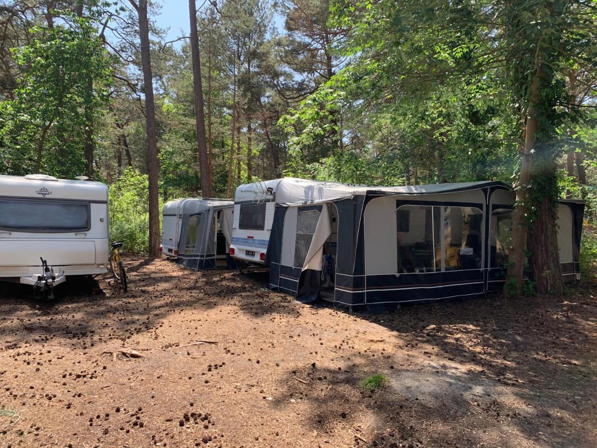 Przyczepy Kempingowe - Osrodek Na Klifie Village - Helska 11 Campsite Hel
